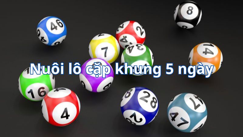 Đôi nét về cách vào tiền nuôi số cặp khung 5 ngày