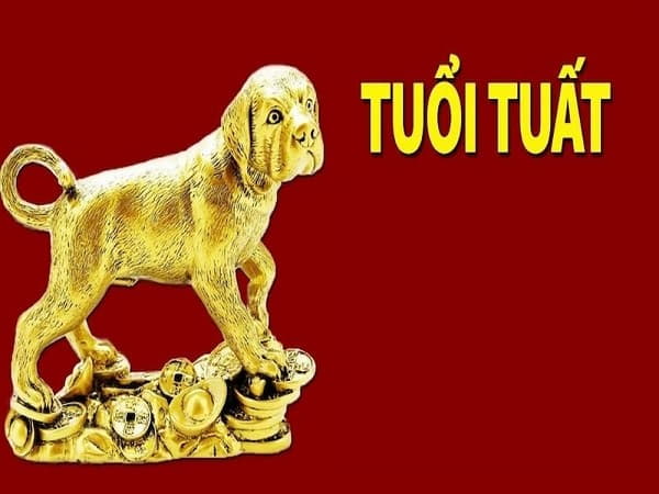 Tại sao con số lại quan trọng với tuổi Tuất?