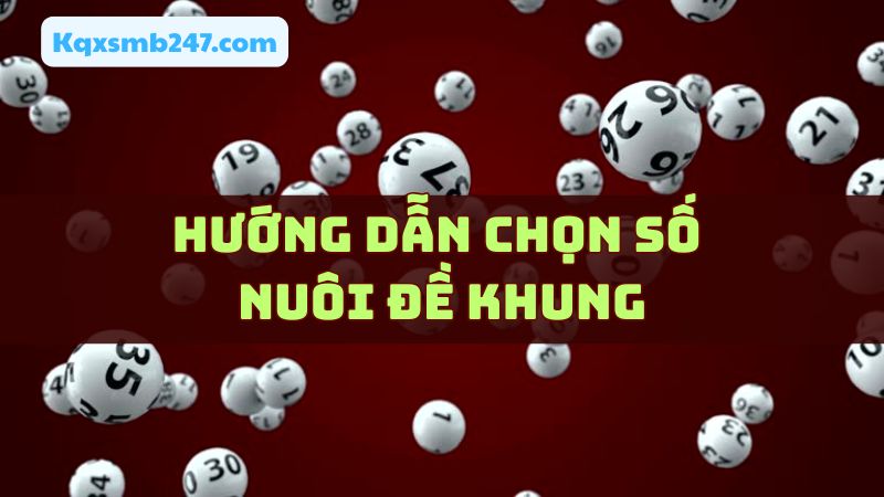 Cách chọn số nuôi đề khung có độ hiệu quả cao nhất