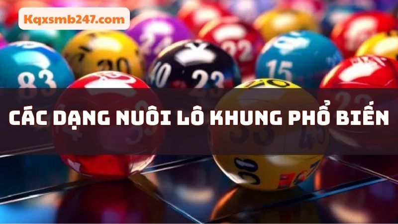 Những dạng nuôi khung được sử dụng phổ biến