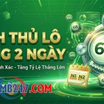 Nuôi bạch thủ lô khung 2 ngày 247 chính xác miễn phí bất bại