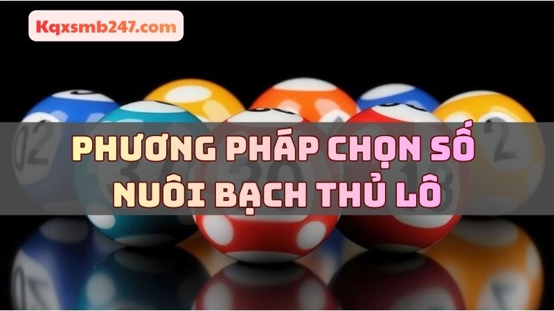 Phương pháp dự đoán bạch thủ lô khung 3 ngày chuẩn 100
