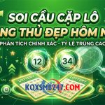 Cặp lô đẹp hôm nay – Soi cầu song thủ lô miền Bắc chuẩn miễn phí