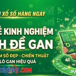 Chia sẻ kinh nghiệm đánh đề gan giúp tăng cơ hội trúng lớn