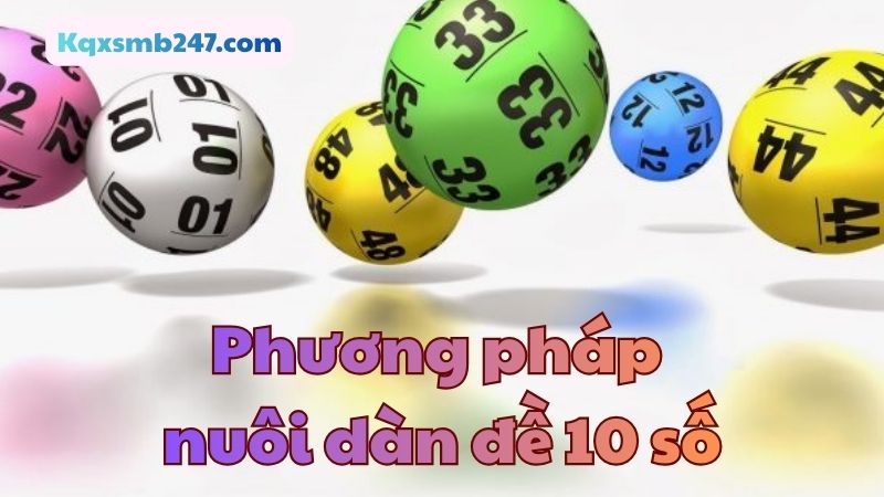 Cách nuôi dàn đề 10 số miền Bắc được nhiều người áp dụng thành công