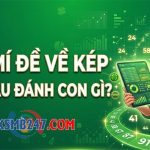 Đề về kép hôm sau đánh con gì? Bật mí con số dễ trúng nhất