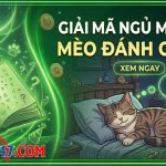 Khám phá mơ thấy mèo đánh con gì dễ trúng nhất