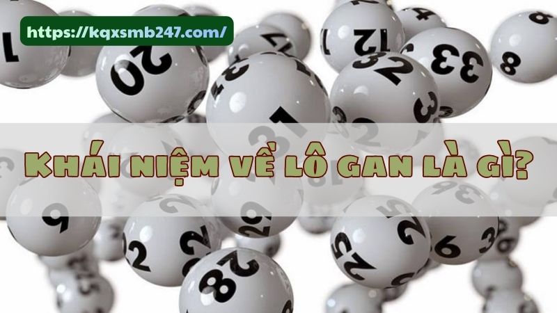 Hướng dẫn cách nhận biết lô gan miền Bắc lâu chưa về