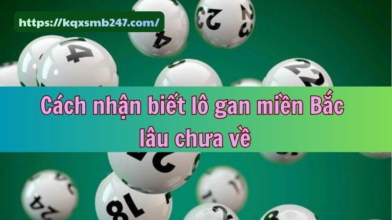 Bỏ túi kinh nghiệm đánh đề gan nâng cao tỷ lệ trúng