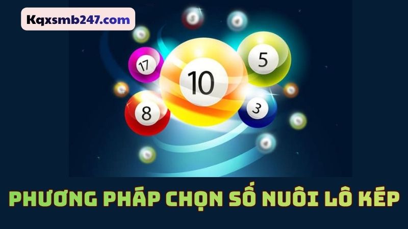 Một số phương pháp nuôi lô kép khung 3 ngày 247 quả nhất