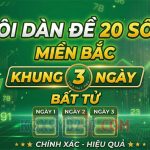 Nuôi dàn đề 20 số VIP bất tử khung 3 ngày chuẩn nhất