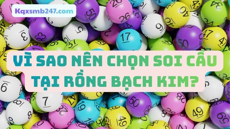 Những lý do thuyết phục nên chọn Rồng Bạch Kim