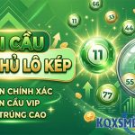 Bạch thủ lô kép hôm nay – Soi cầu lô kép miễn phí miền Bắc