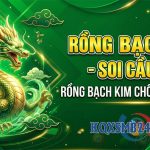 Rồng Bạch Kim – Soi cầu 247 Rồng Bạch Kim chốt số hôm nay chính xác MB