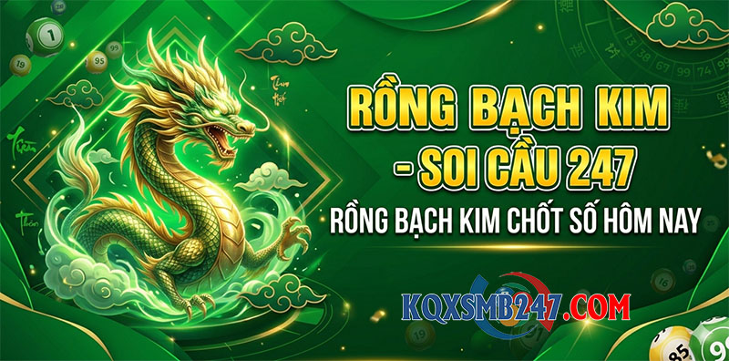 Soi cầu rồng bạch kim 247