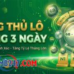 Nuôi song thủ lô khung 3 ngày chuẩn bất bại ăn quanh năm