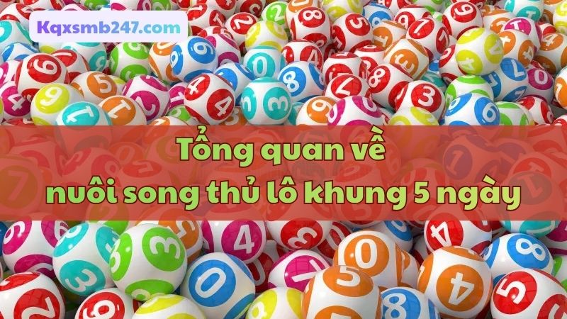 Tìm hiểu tổng quan về nuôi song thủ lô khung 5 ngày