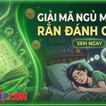 Mơ thấy rắn có ý nghĩa gì? Đánh con lô bao nhiêu?